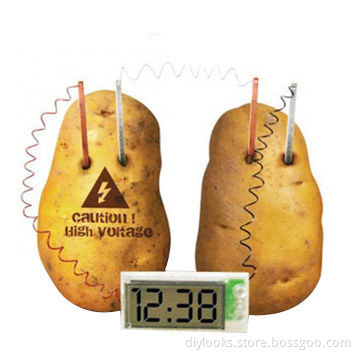 DIY Novel Green Science Potato Digital ClockNew